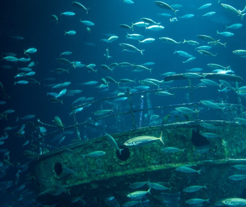 Too Lethal Fishing Charters | Wreck Fishing in Key West