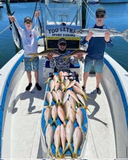 yellowtails,macks,cuda