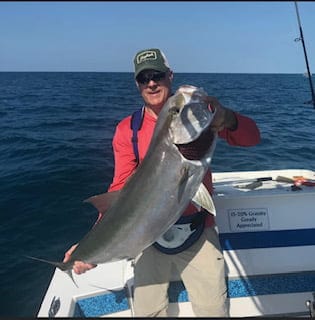 amberjack